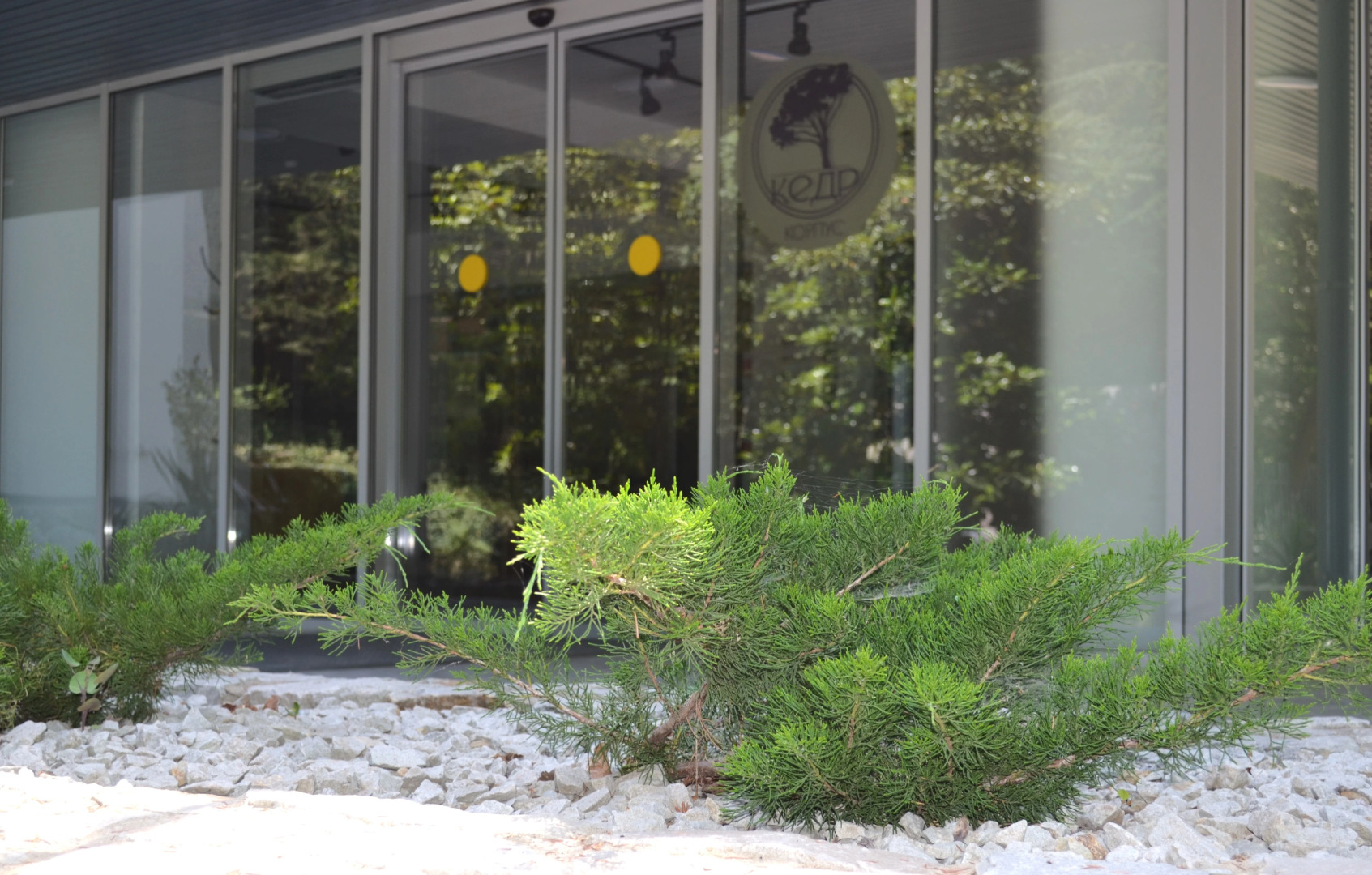 Санаторий Лес