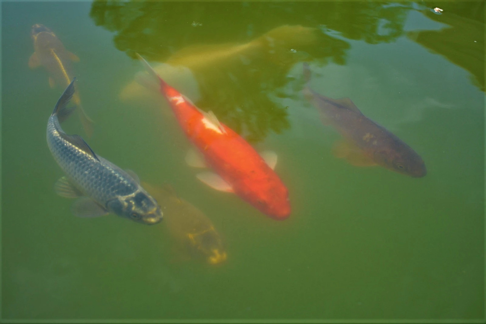 Дом Отдыха Полёт