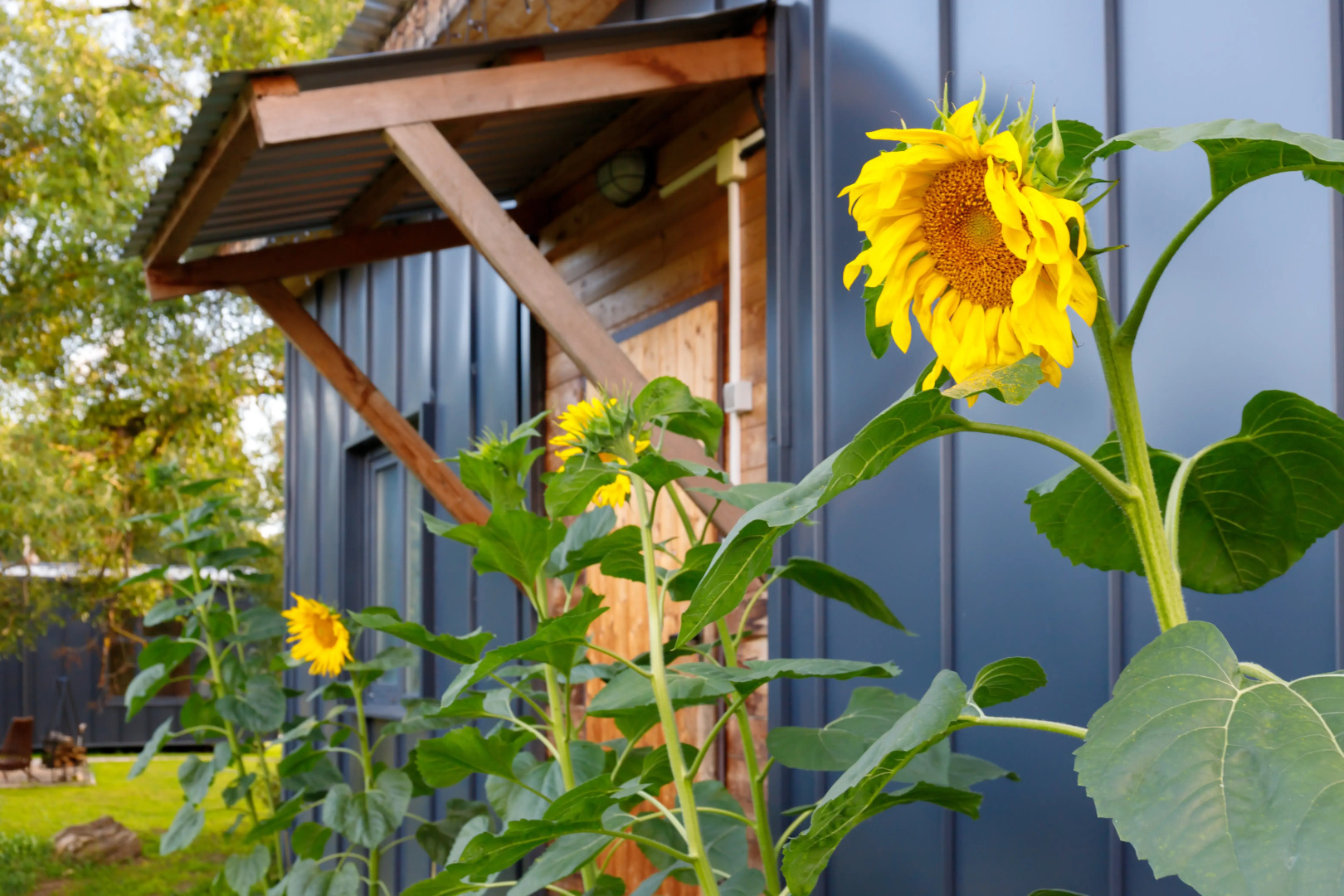 Частный дом Романовское подворье №2