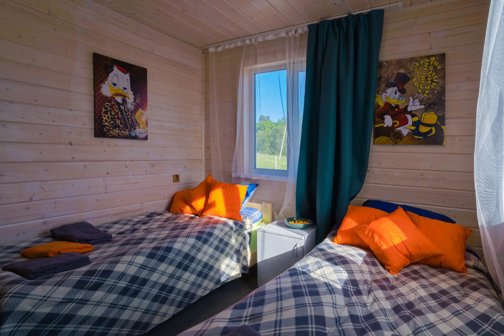 Частный Дом Утиная История