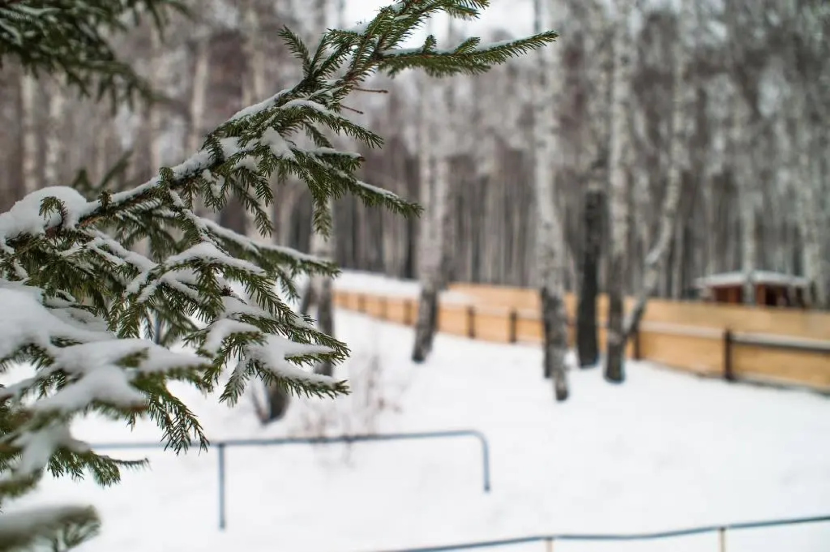 Отель Лыжная база станции Екатеринбург-Сортировочный Дирекция социальной сферы Свердловской железной дороги – филиала ОАО РЖД