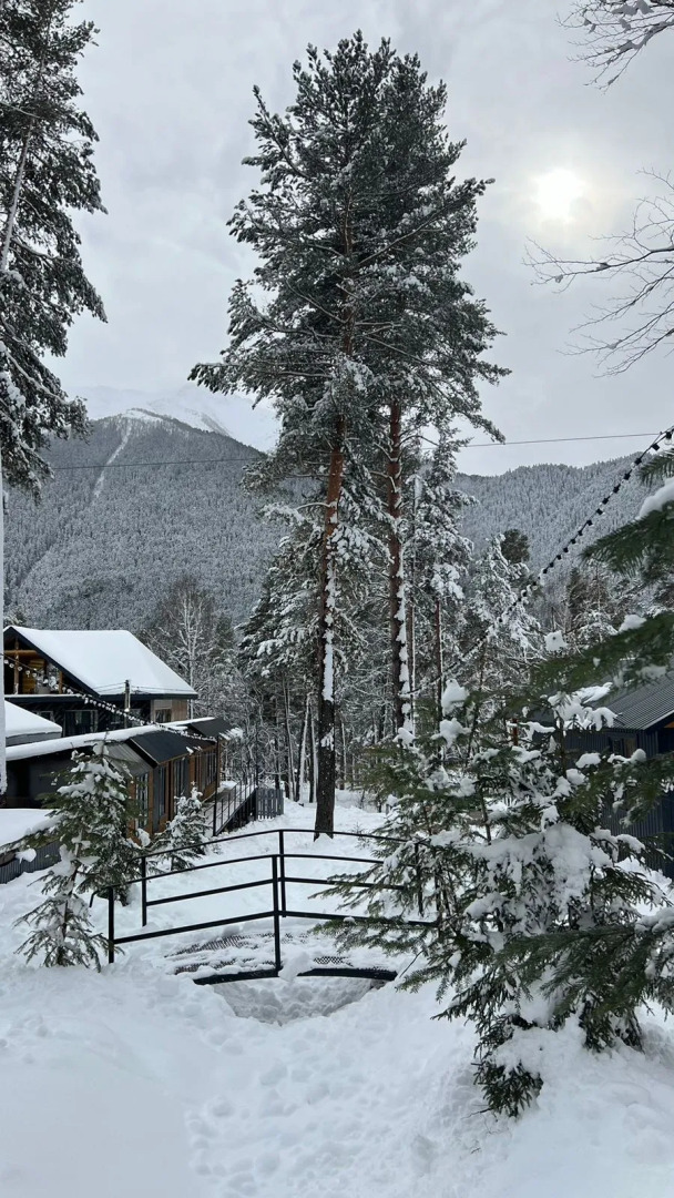 База отдыха Сосновка