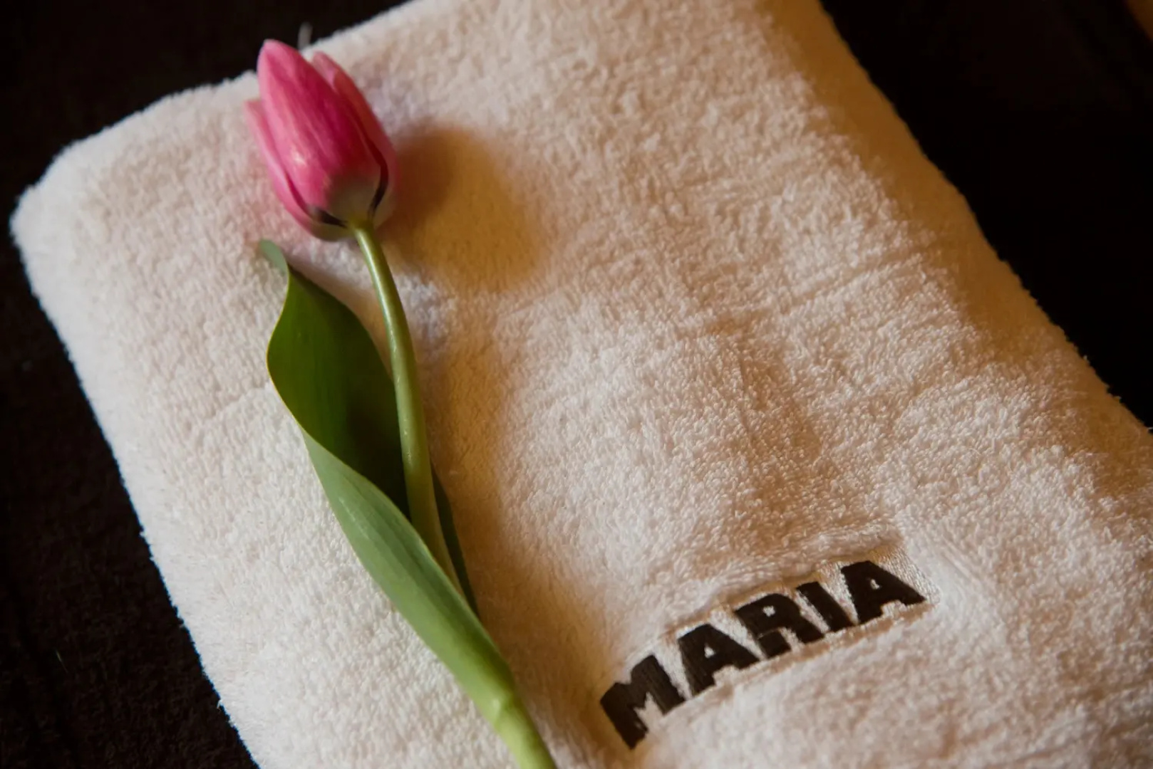 Вилла Willa Maria