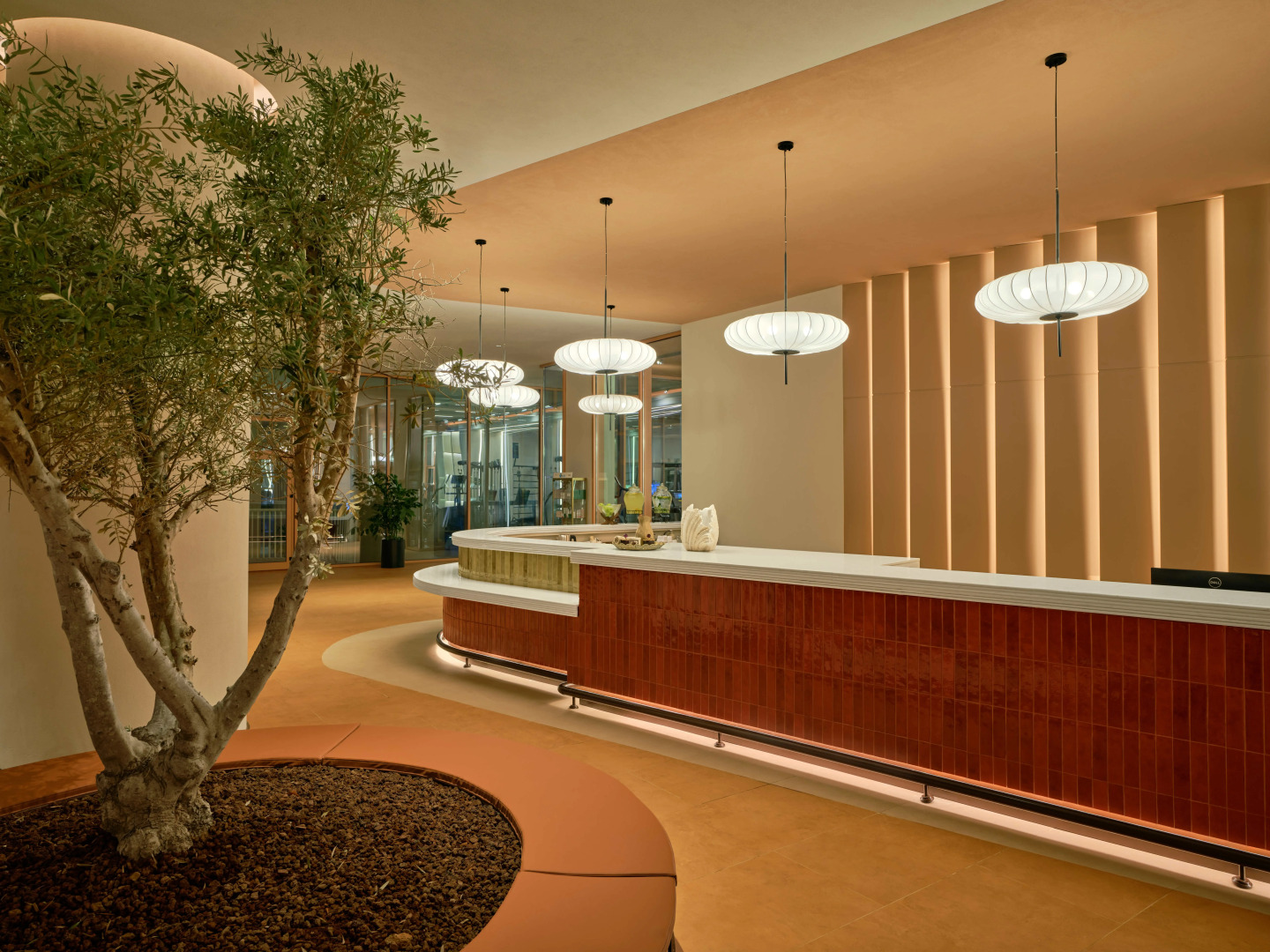 Paloma Grida - All Inclusive