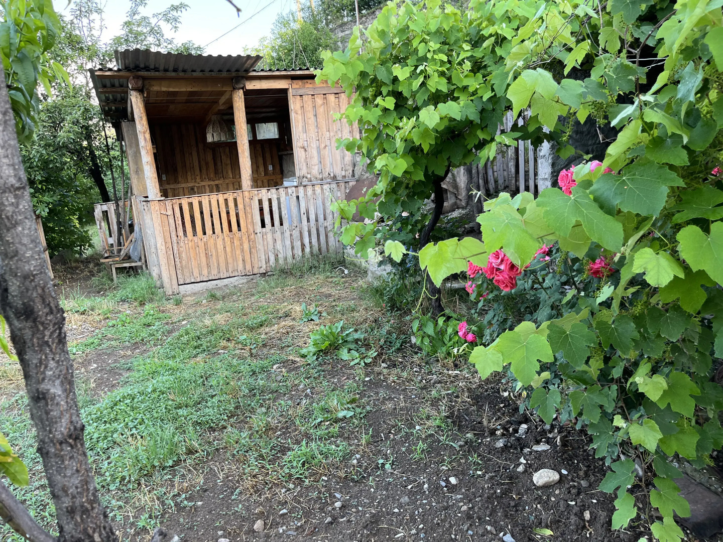 Гостевой дом Comfort