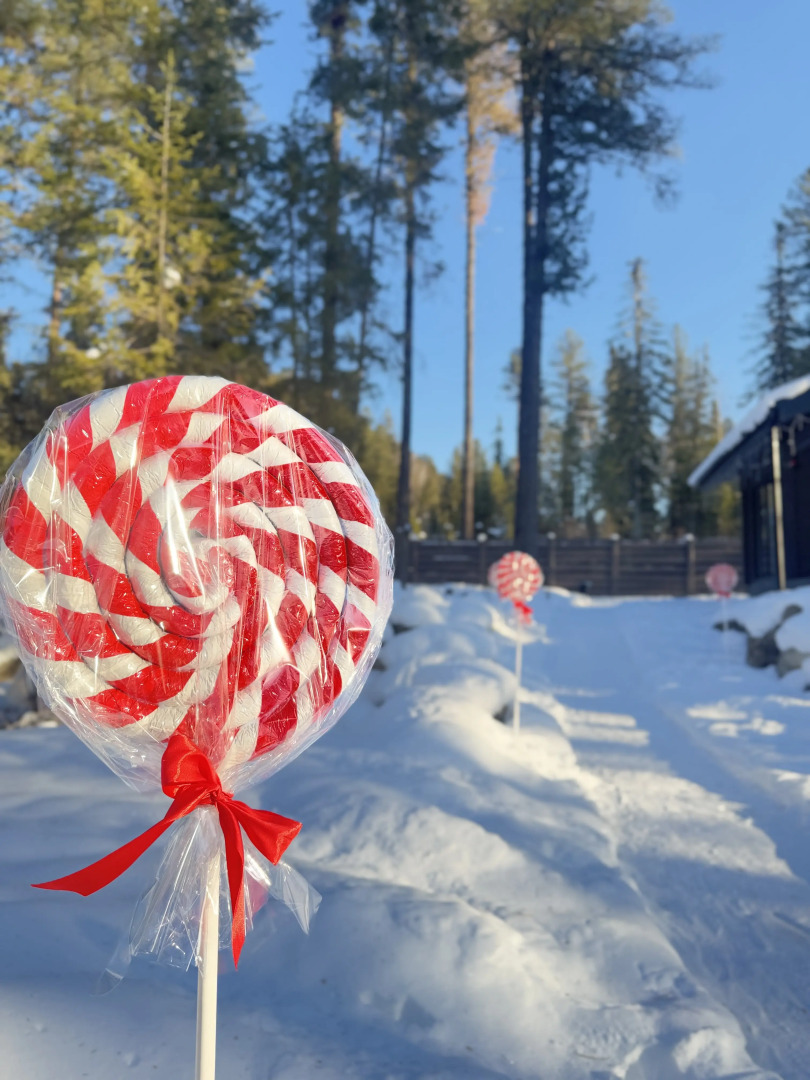 Шале комплекс ВМЕСТЕ дом темный