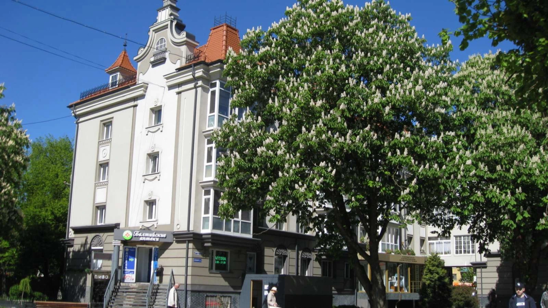 Апартаменты Центр у Каштанов Ленинский Пр-т 8