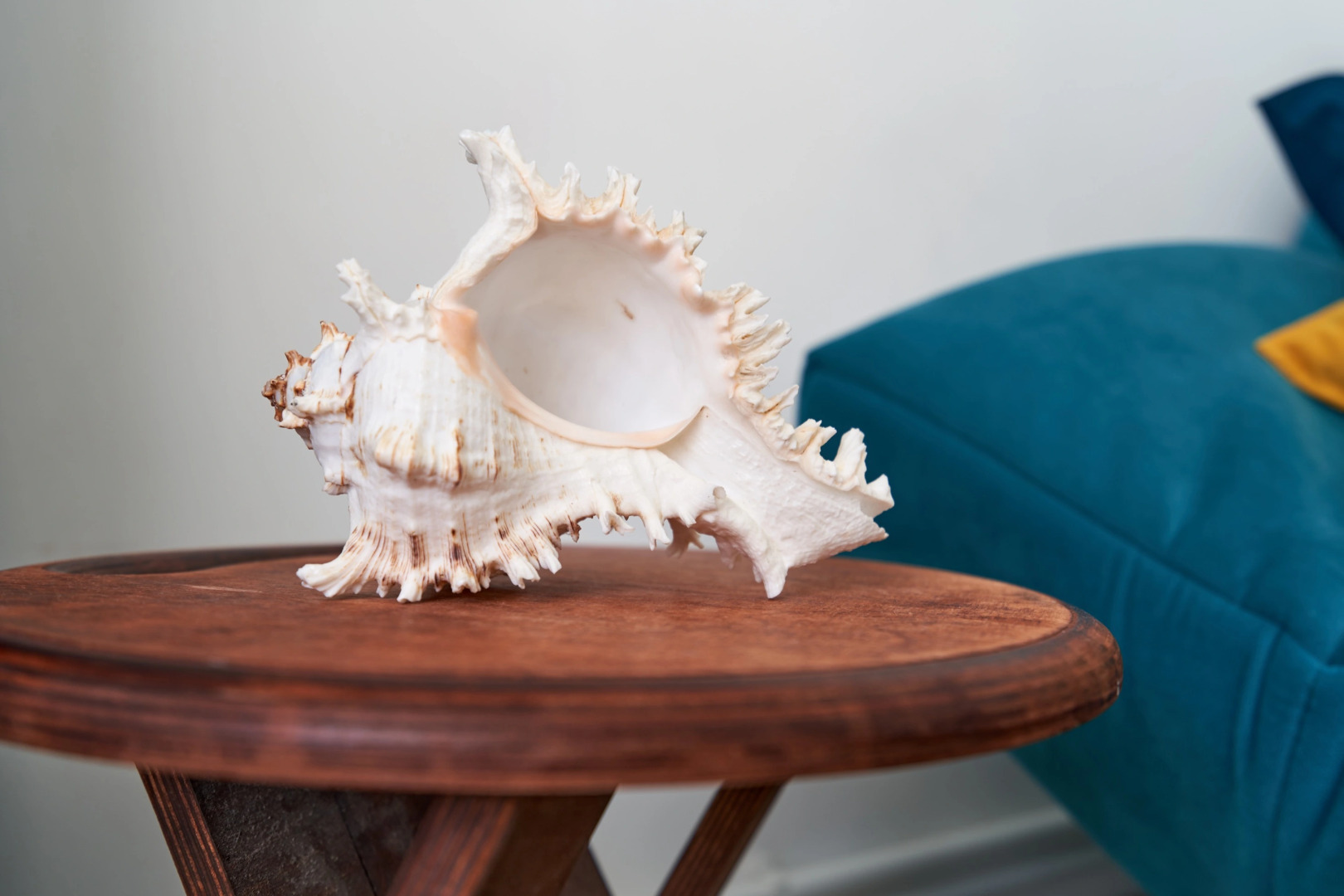 Квартира Sevastopol-Apartment