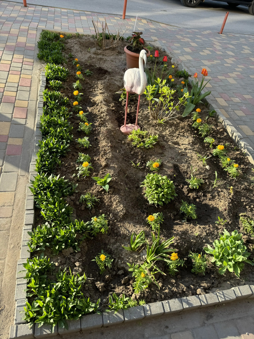 Квартира на Пархоменко 8