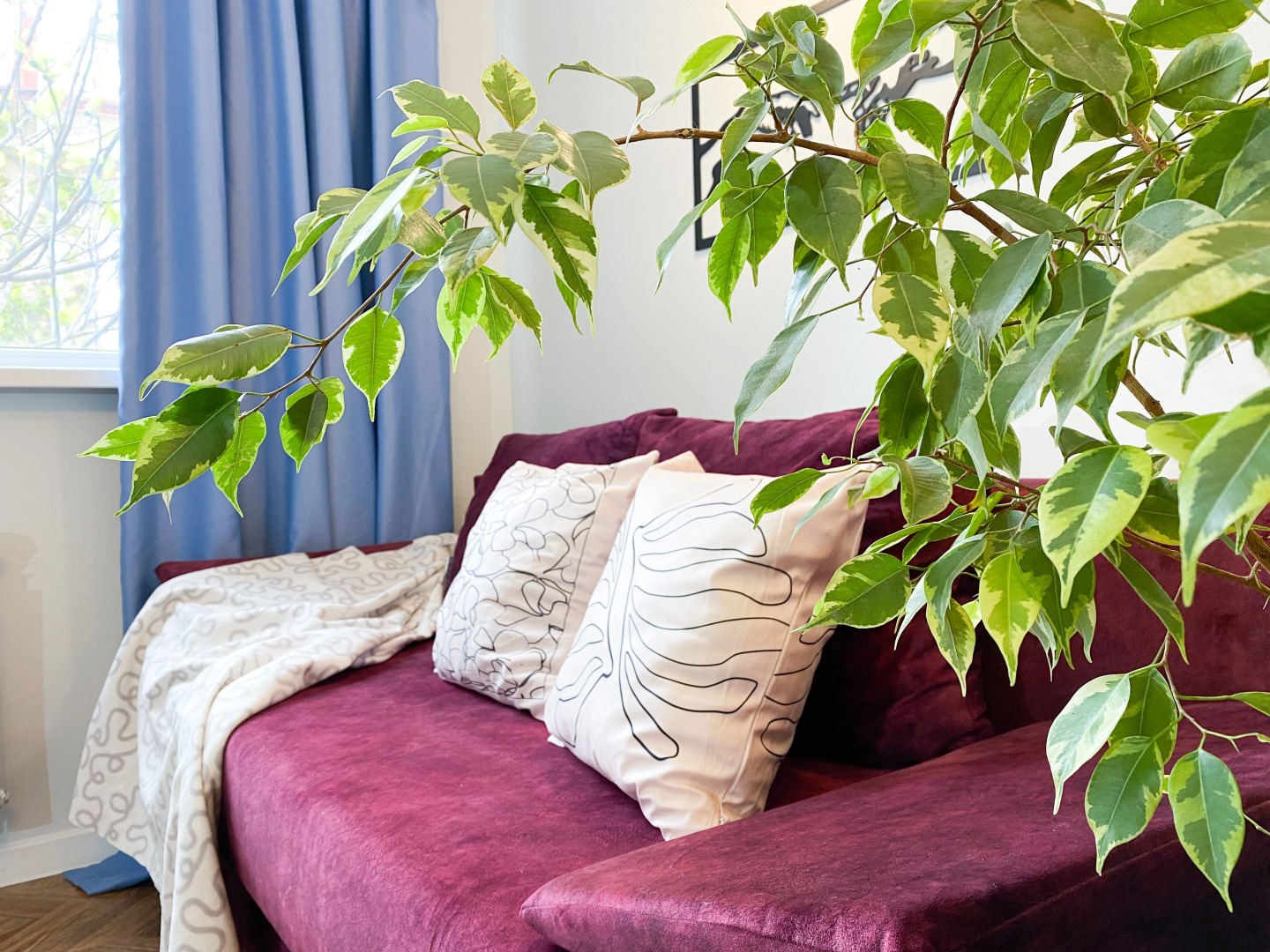 Апартаменты Счастье Жить в Тихом Центре Севастополя