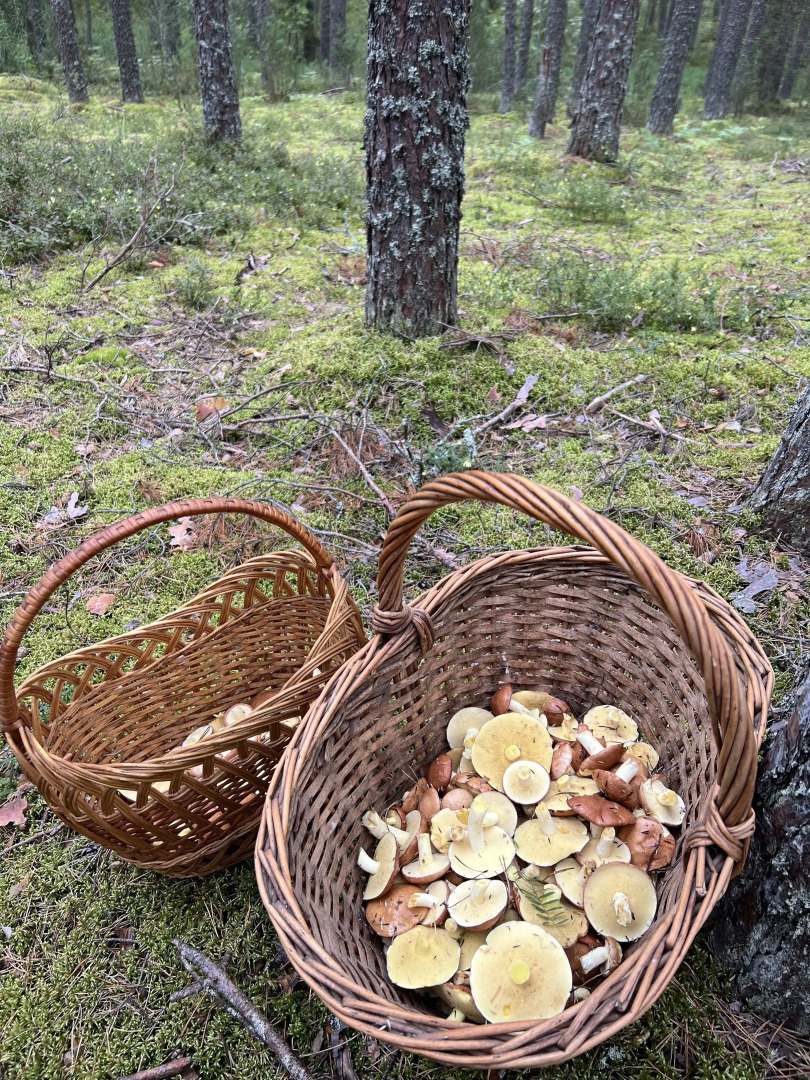 Частный дом Слобода 68