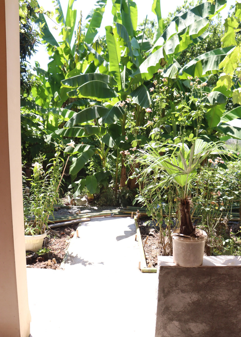 Гостевой дом Citrus Tree