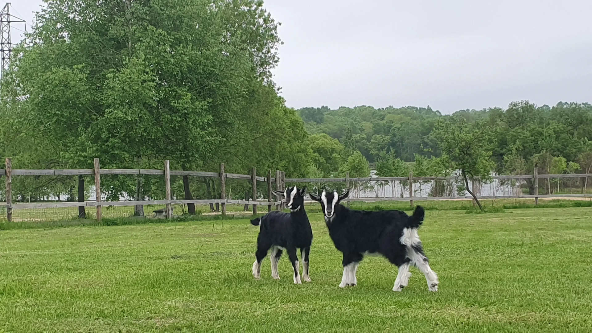 База отдыха Парк-отель Холмы