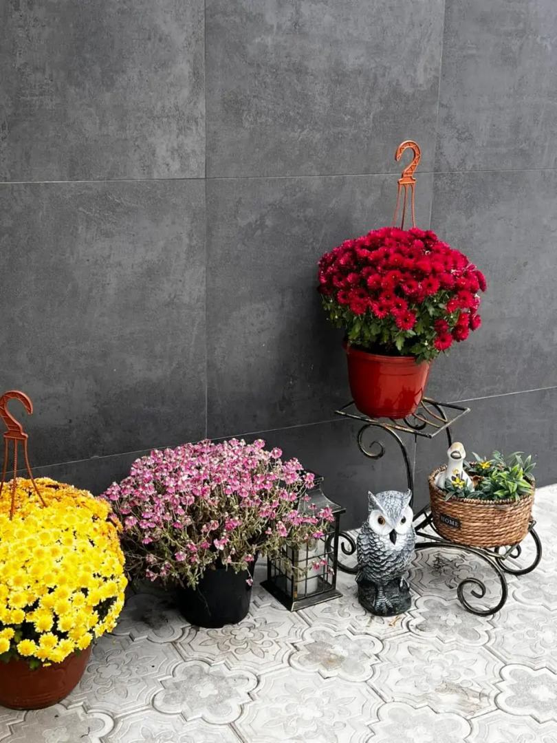 Отель  Турист Кисловодск