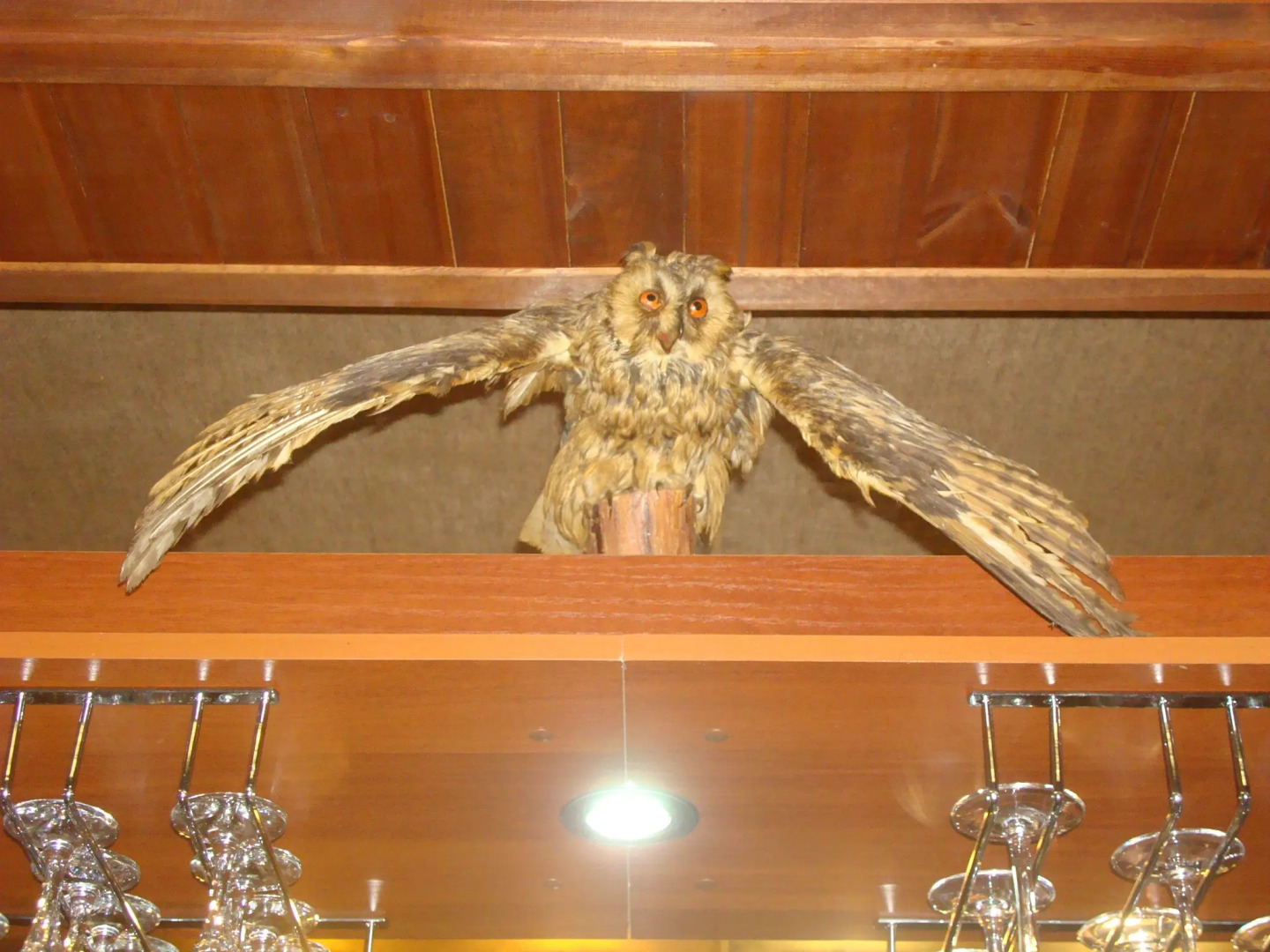 База Отдыха Заповедная Сказка