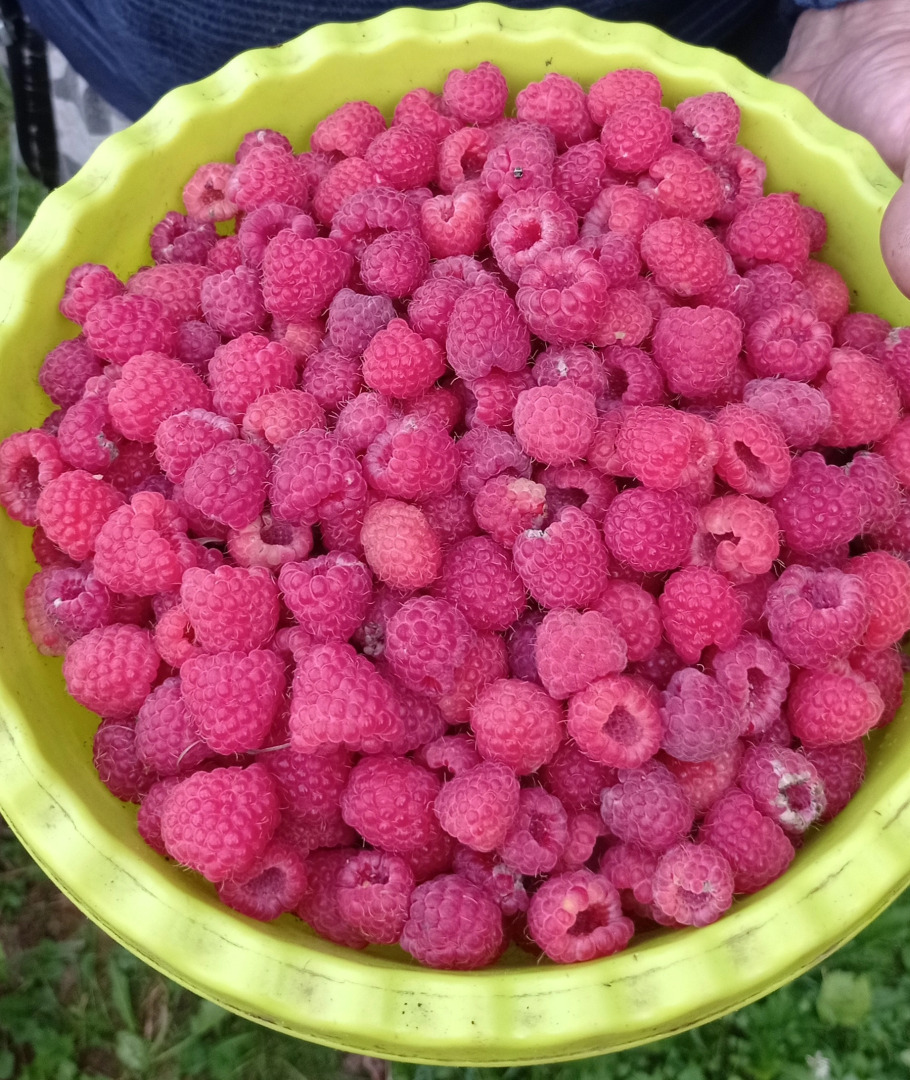 Отель Дом солнца