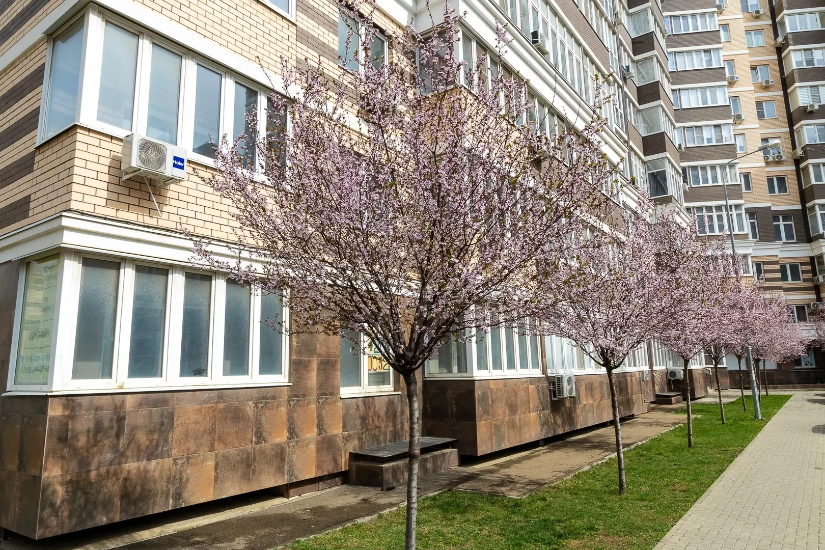 Апартаменты LYME на Конгрессной ВКК Экспоград Юг