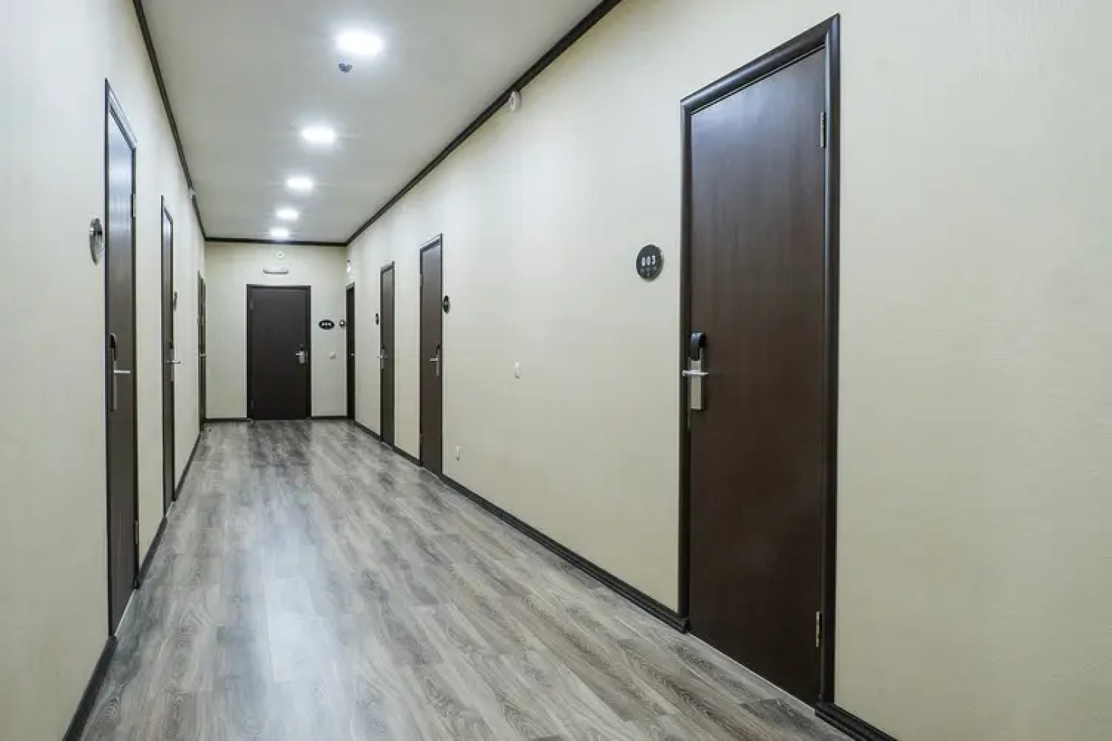 Отель Gold Shark