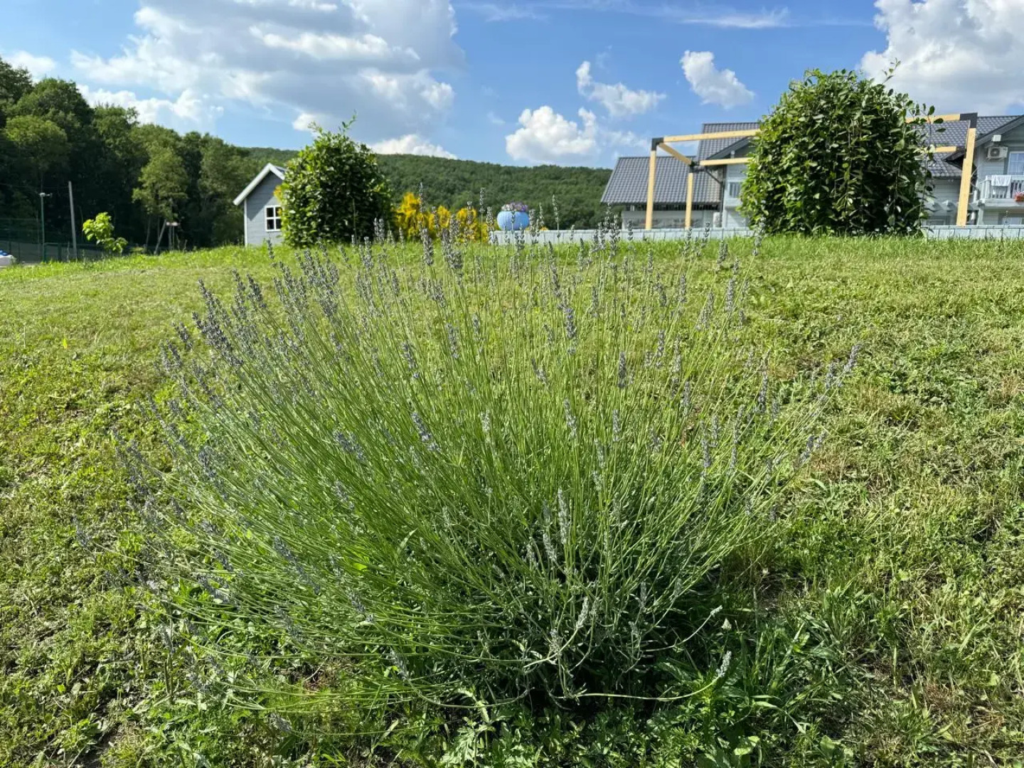 Гостевой дом Играем на высоте