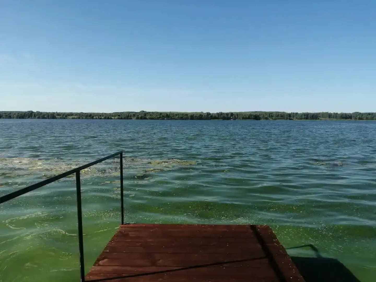 Частный дом Дом на берегу волги