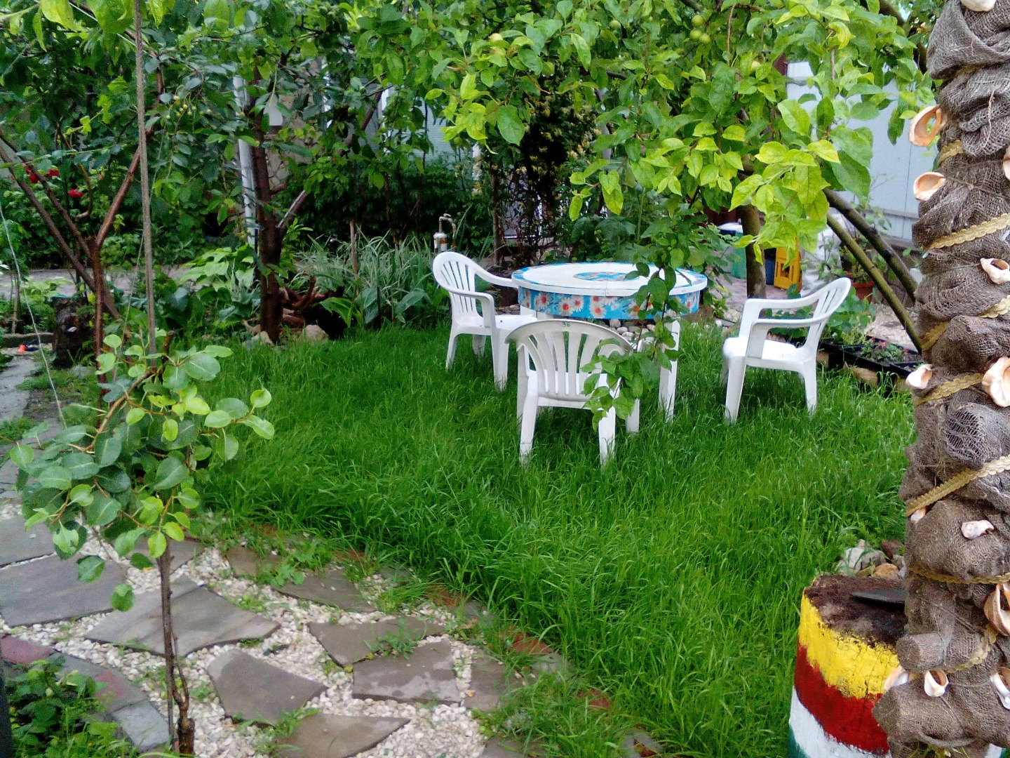 Меблированные комнаты Ясень