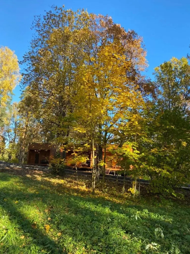 Отель Ruza Forest