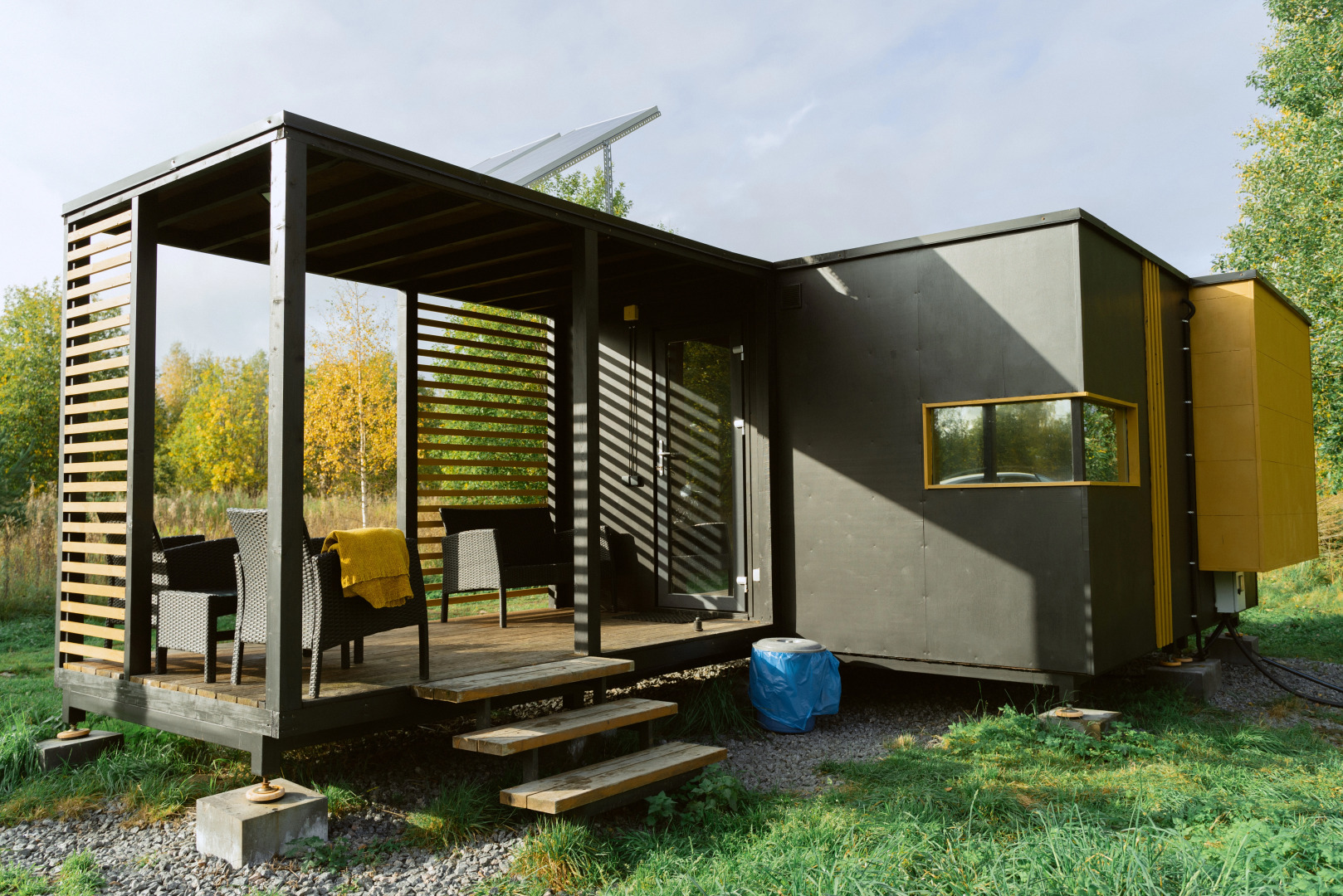 Папоротник