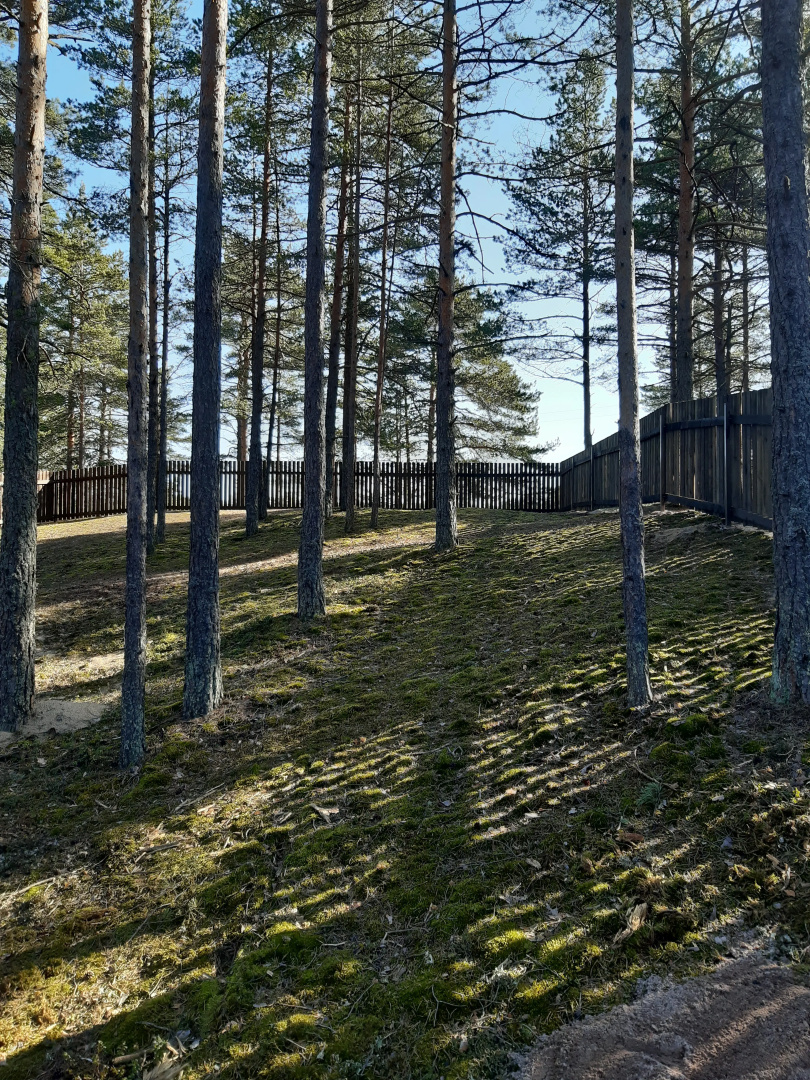 Dachi Skandi 3+4 Guest House