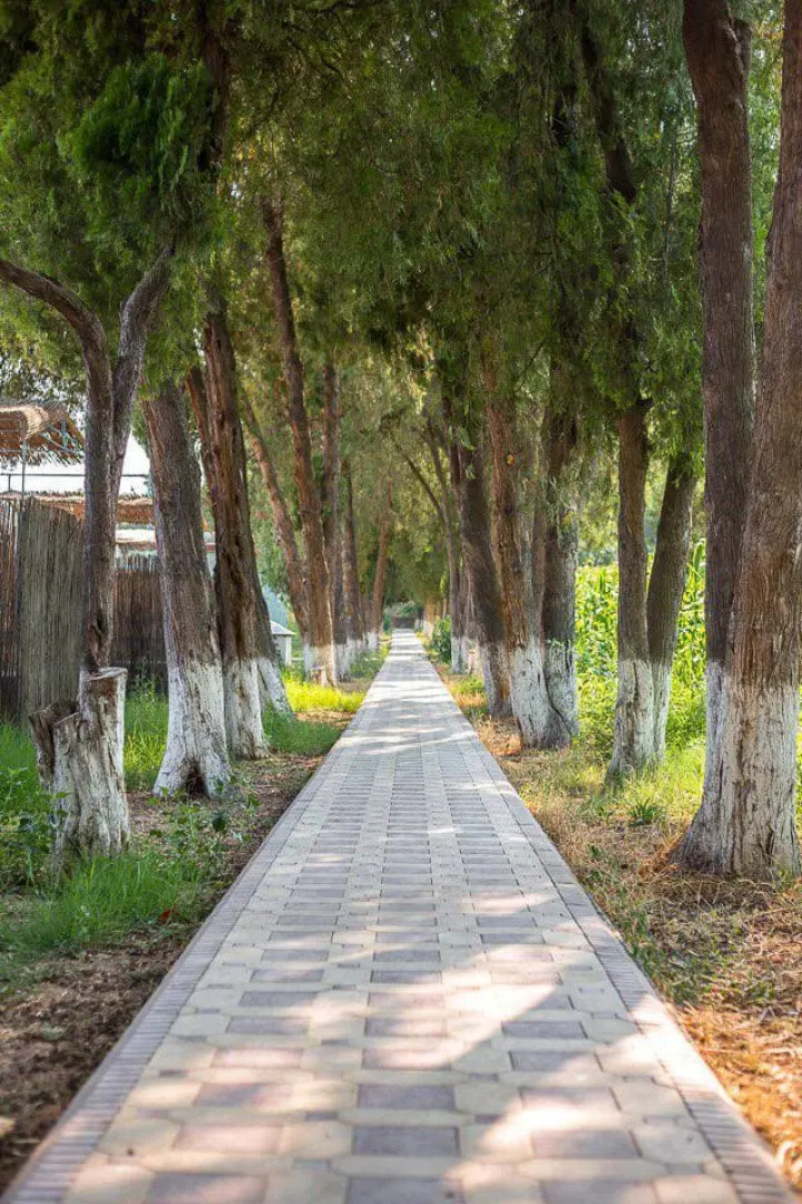 Курортный отель Usmon Ota