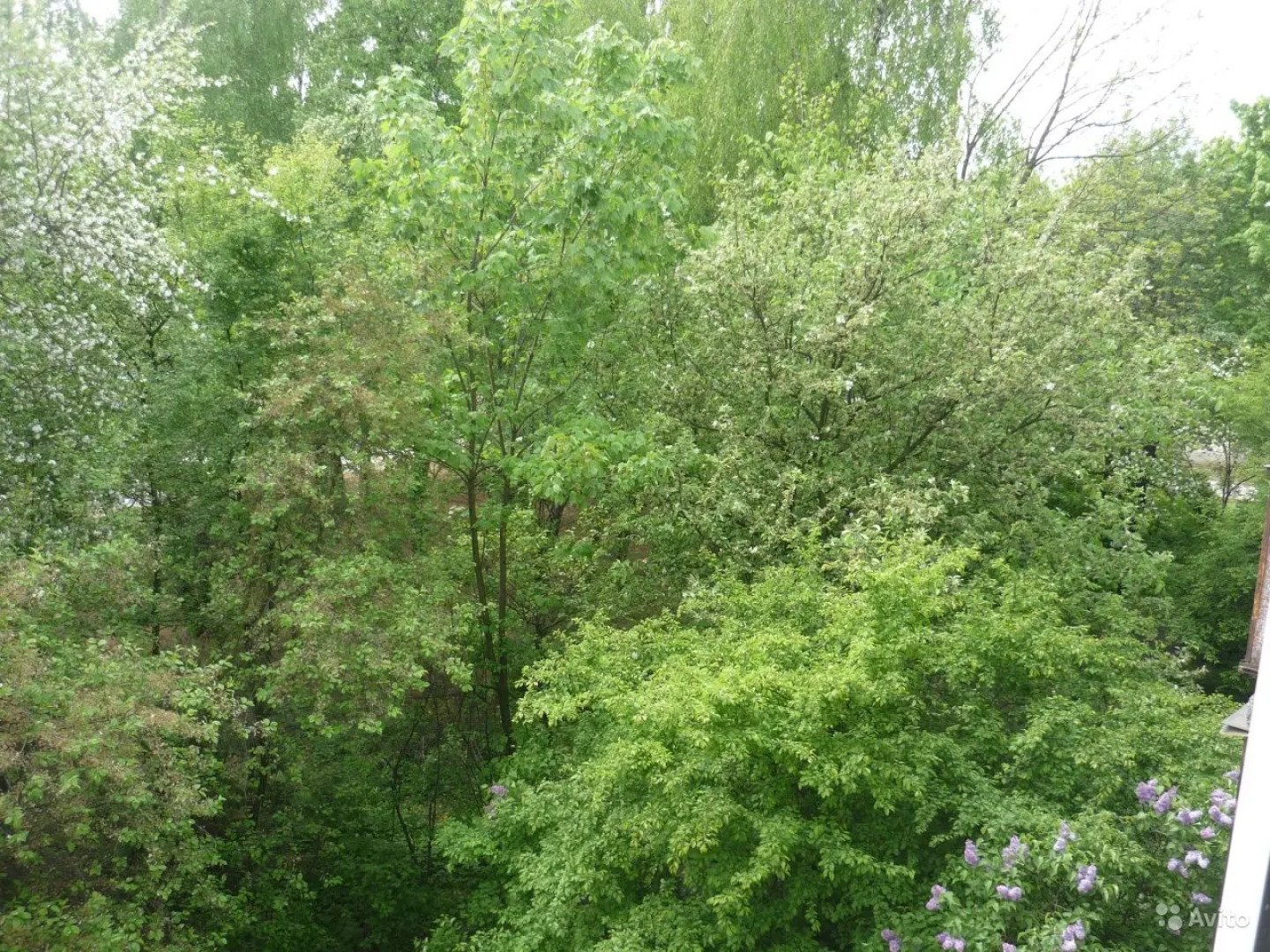 Апартаменты Однокомнатная Квартира у Рыбной Деревни