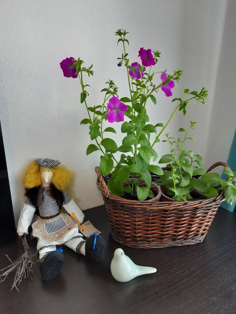 Апартаменты Просторные аппартаменты с джакузи