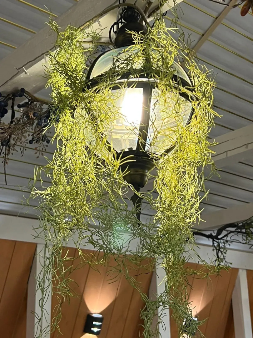 Частный дом на Изумрудном 6