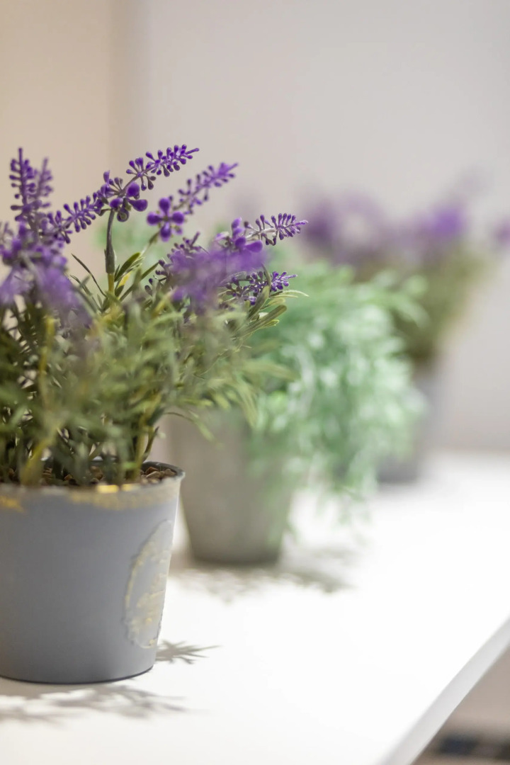 Квартира Fresh world