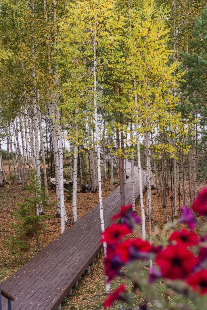 База отдыха Озёра