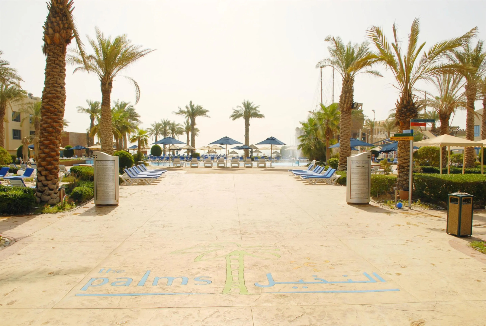 The Palms Beach Hotel And Spa