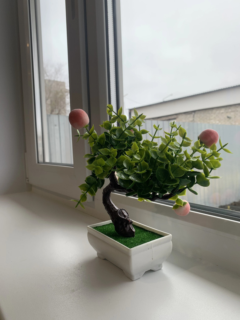 Отель ПолПути