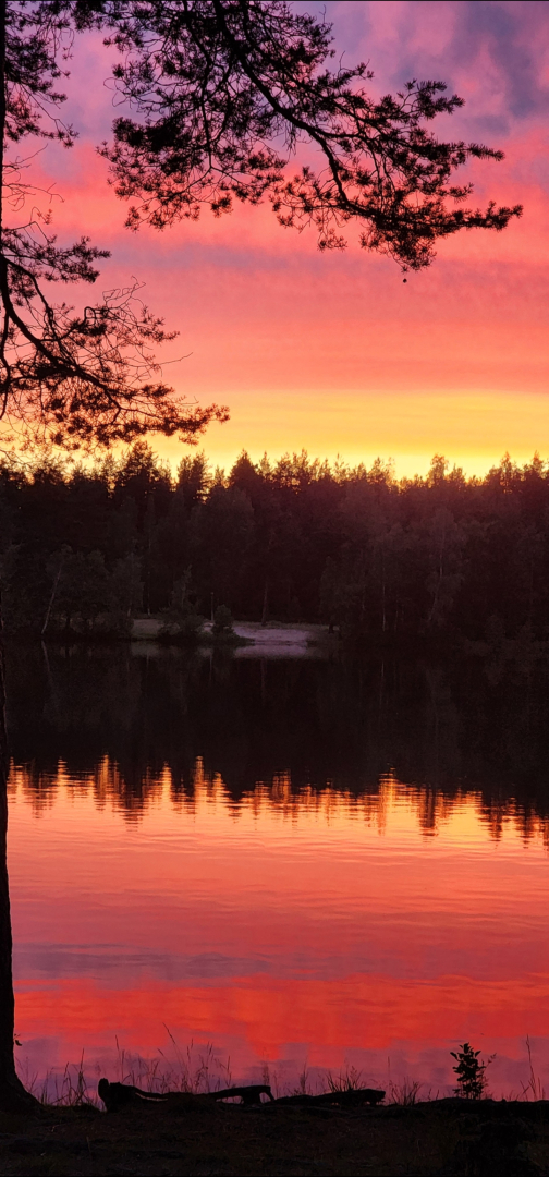 Частный дом Уютная Орхидея