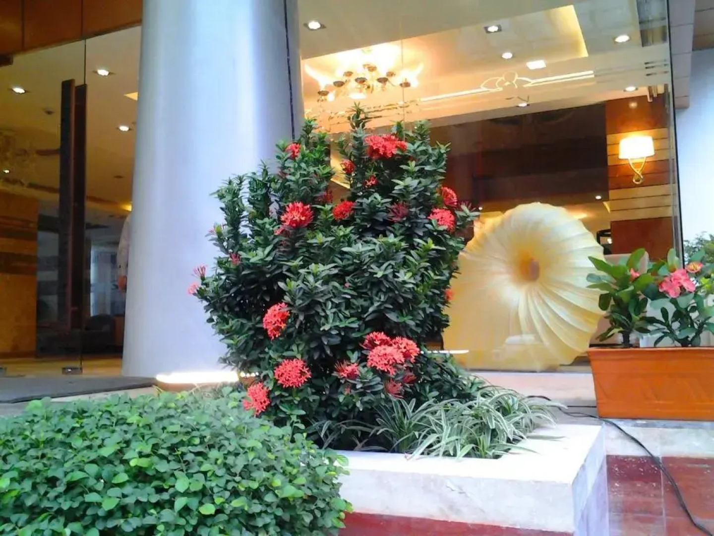 Отель Bengal Blueberry