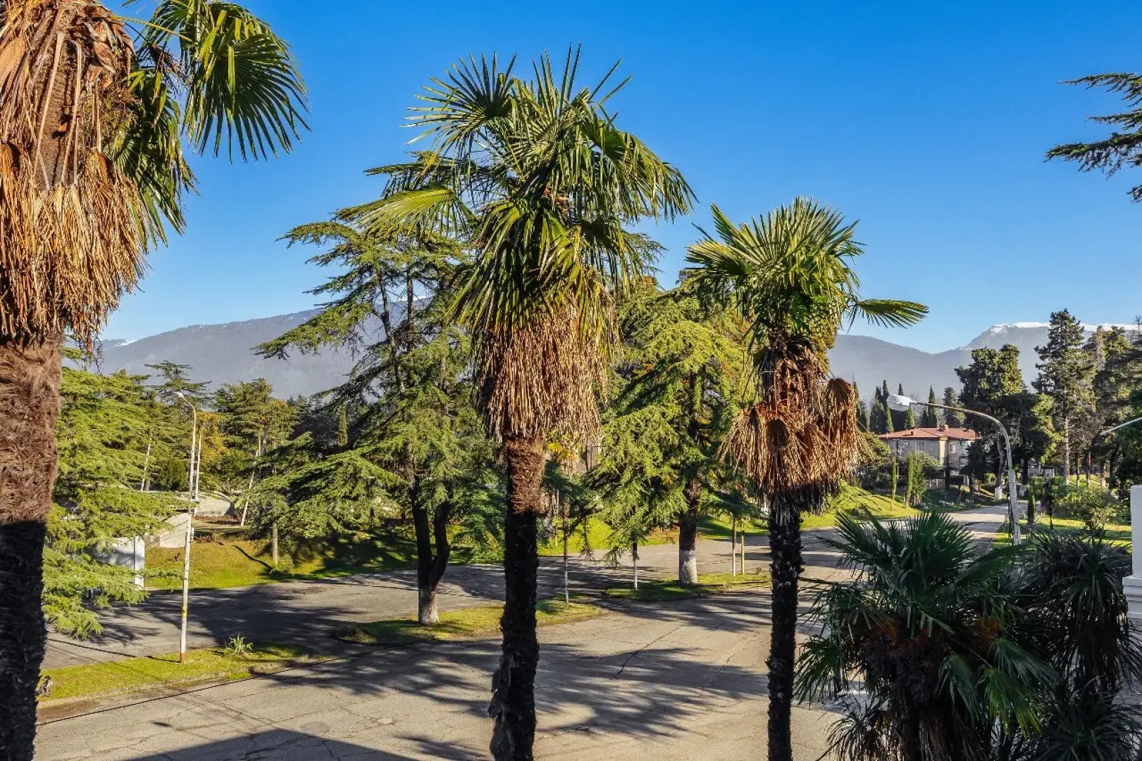 Парк-отель Кедр