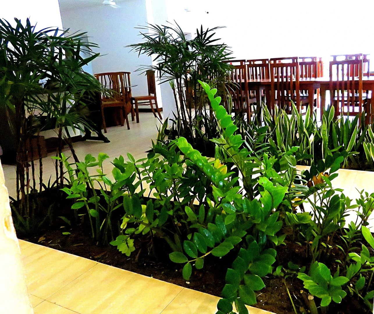 Отель Waasala Leisure