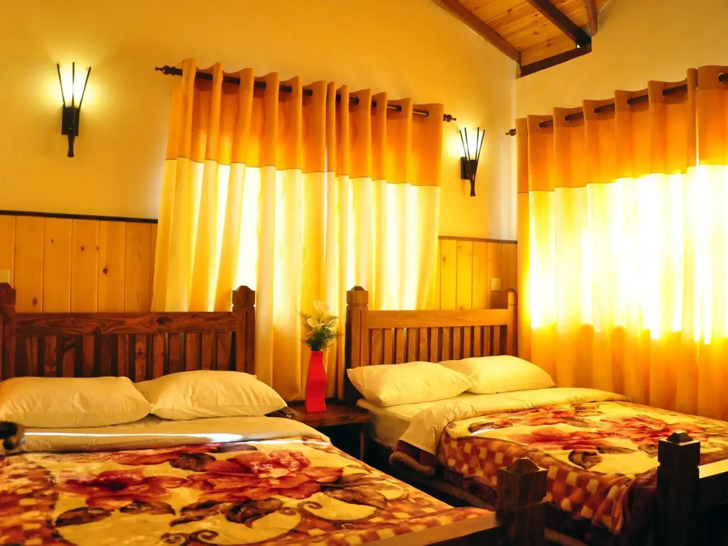 Отель New Tour Inn