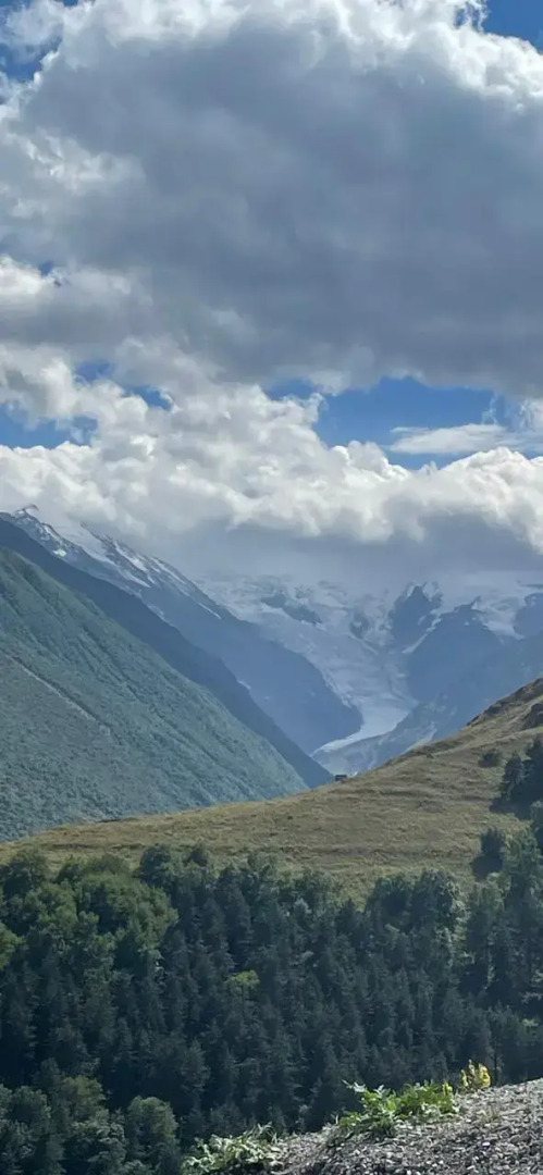 Частный дом Новый дом из сруба в Даргавсе