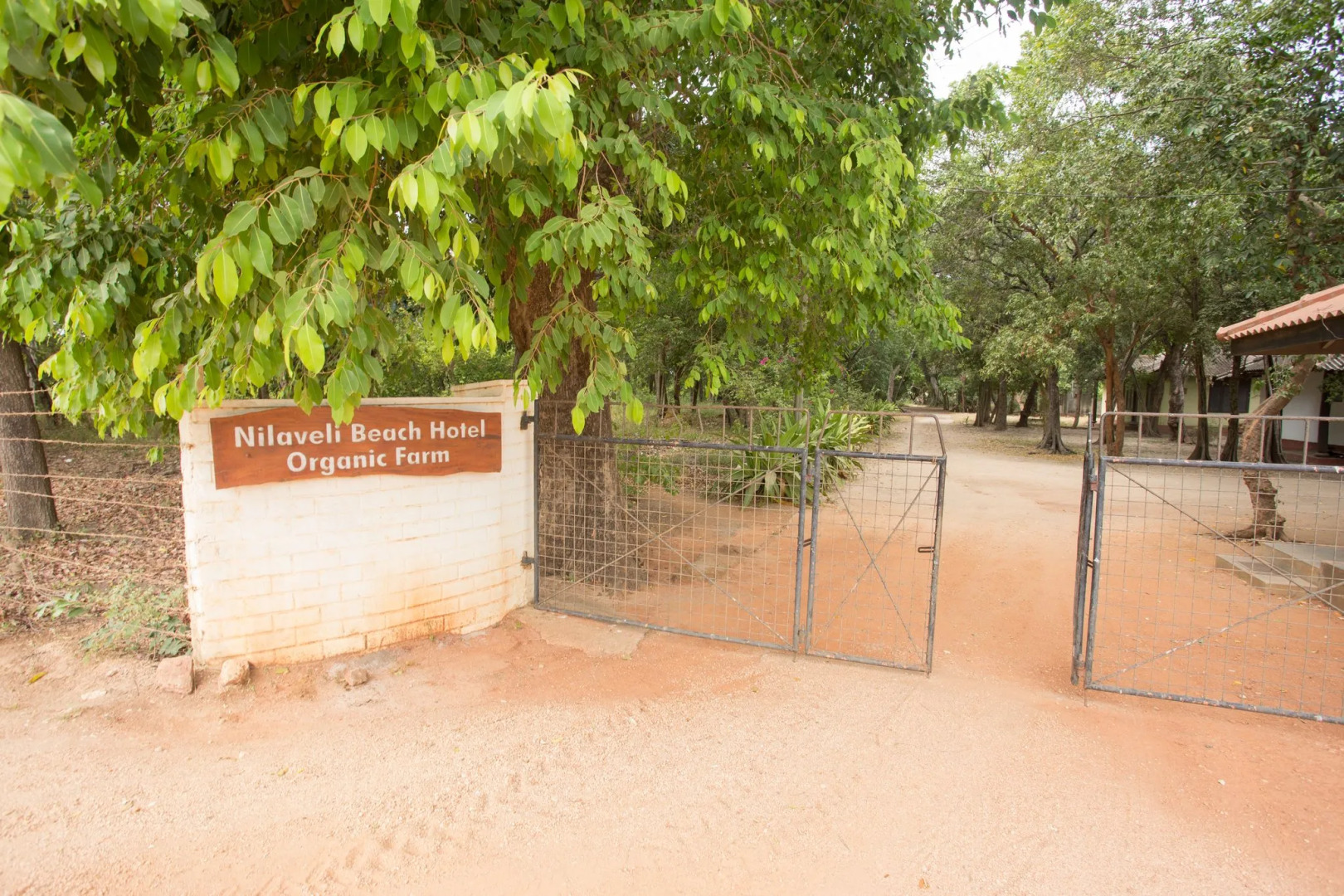 Отель Nilaveli Beach