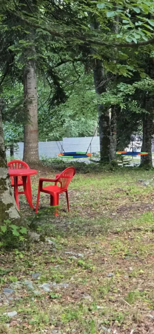 Горная Мята