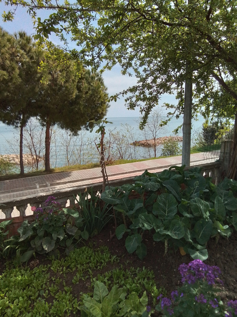 Частный дом Gerze Beyaz Yalı Tatil Evi