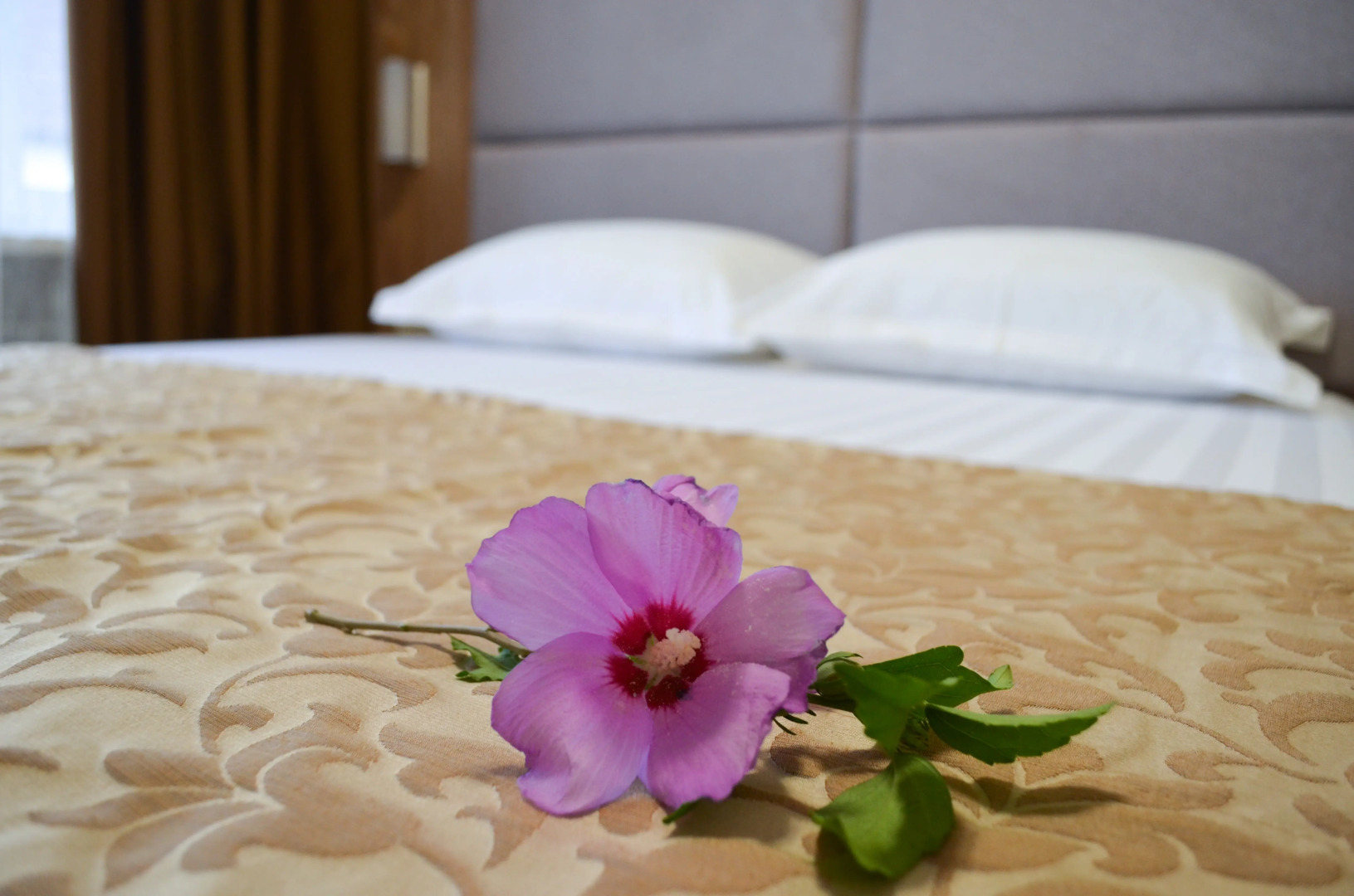 Гостевой дом В гостях у Танечки