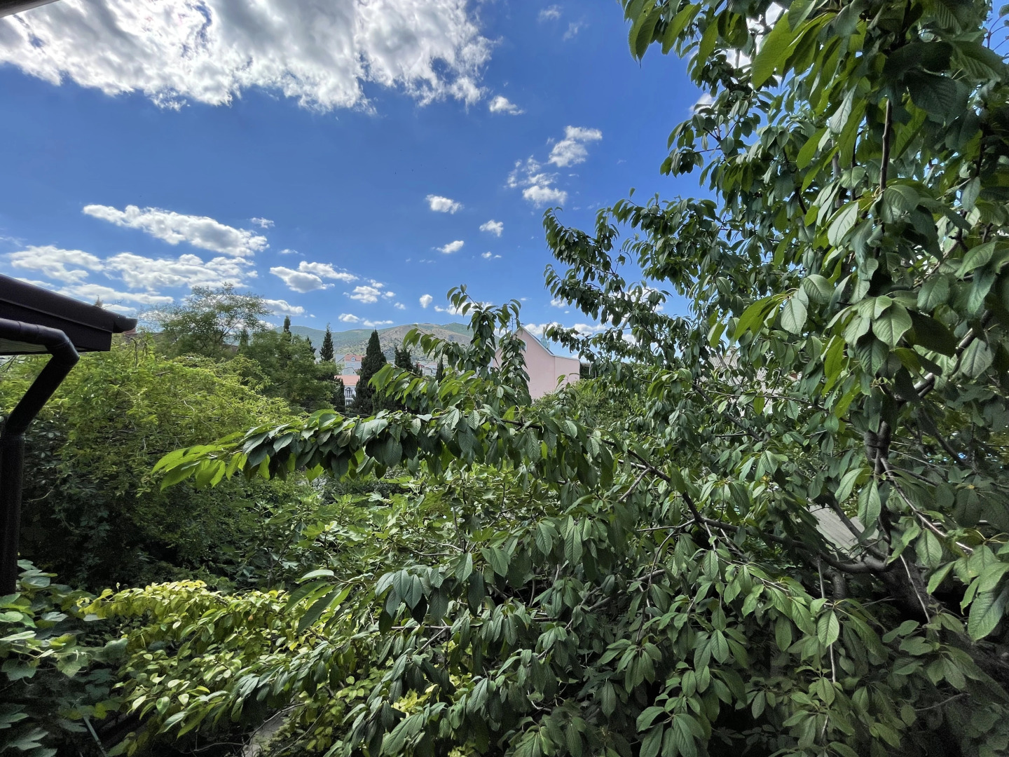 Меблированные комнаты Николь