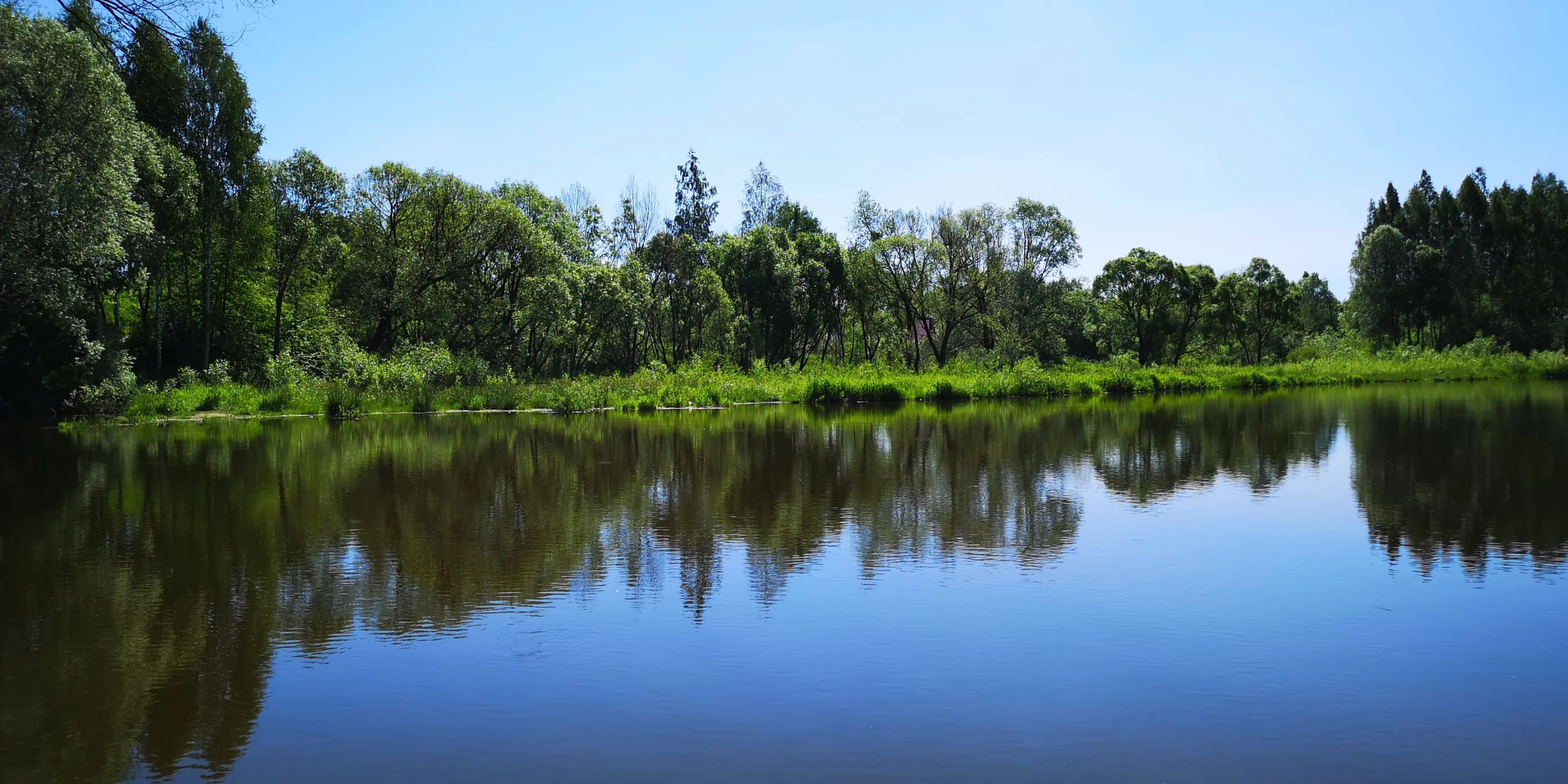 Частный Дом Эко-Коттедж Лосиное