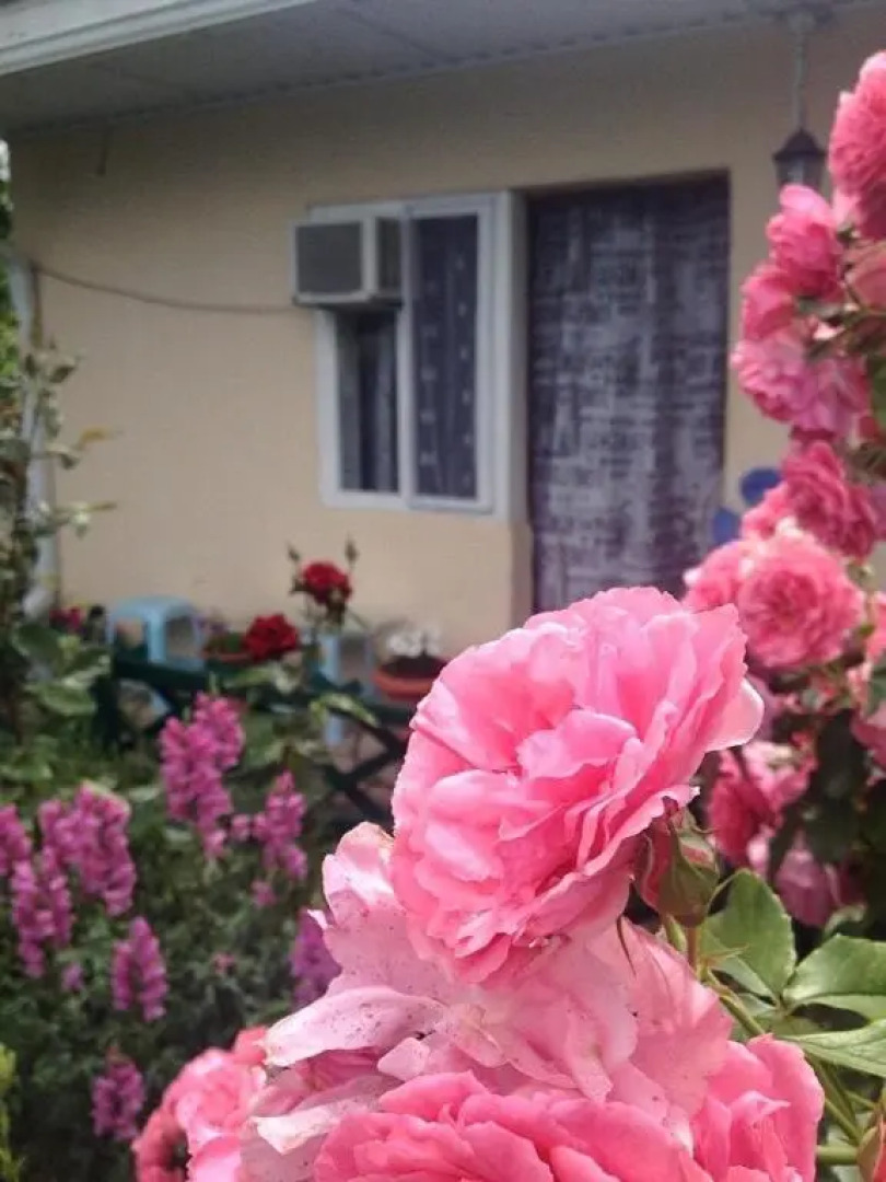 Гостевой Дом Отдых у Моря