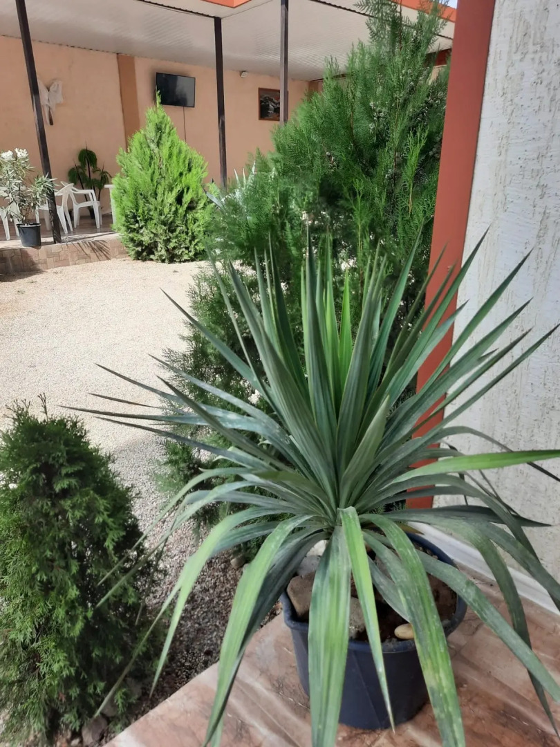 Жилое помещение Гавайи